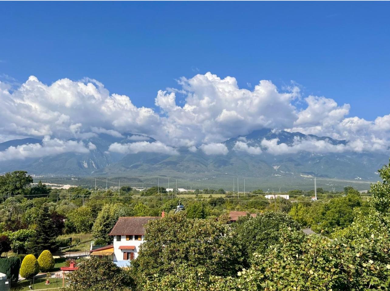 Prado Apartment Hotel Limín Litochórou Εξωτερικό φωτογραφία